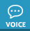 VOICE